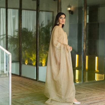 Brown Chanderi Suit Set