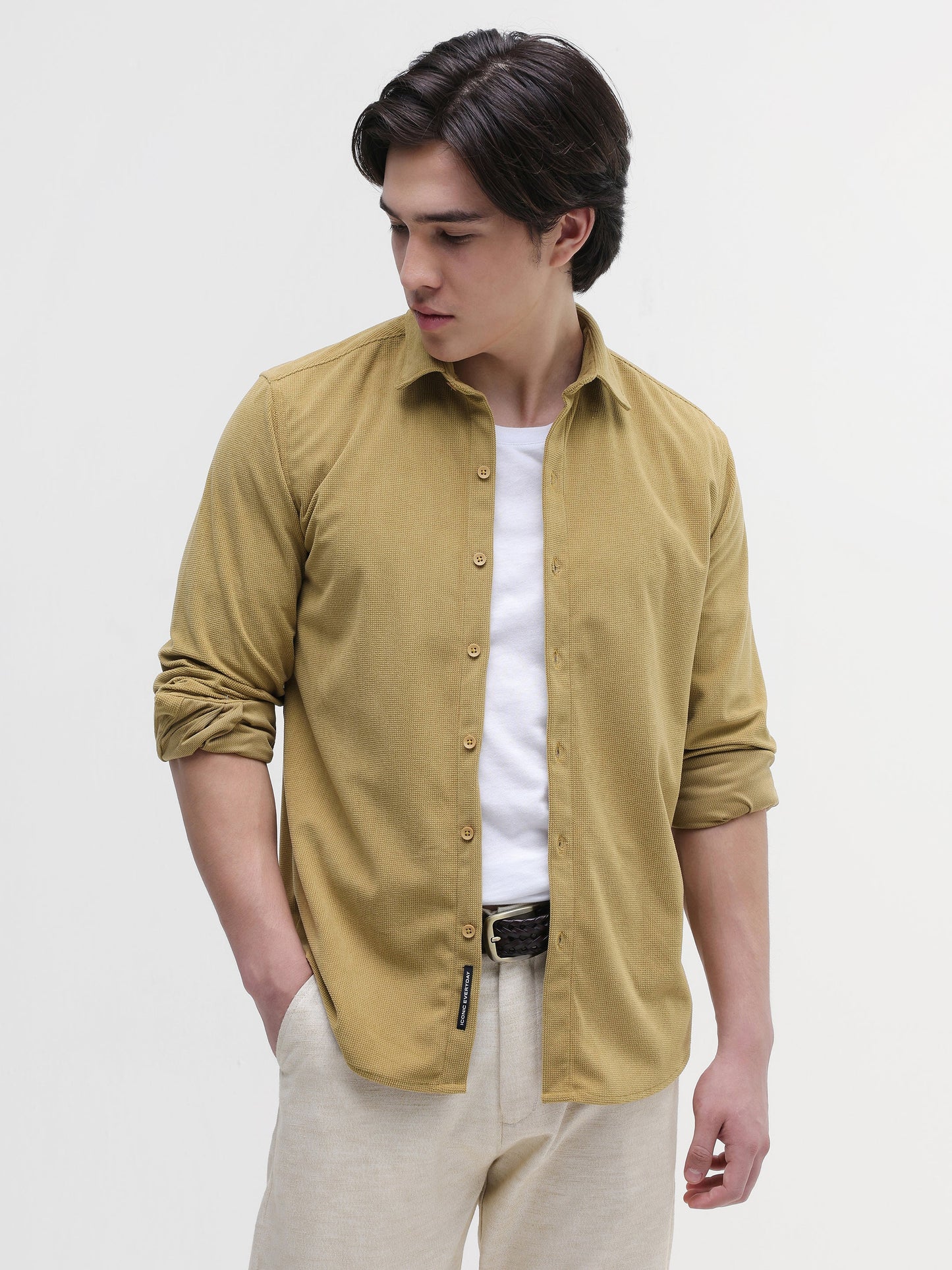 Solid Textured Regular Fit Shirt