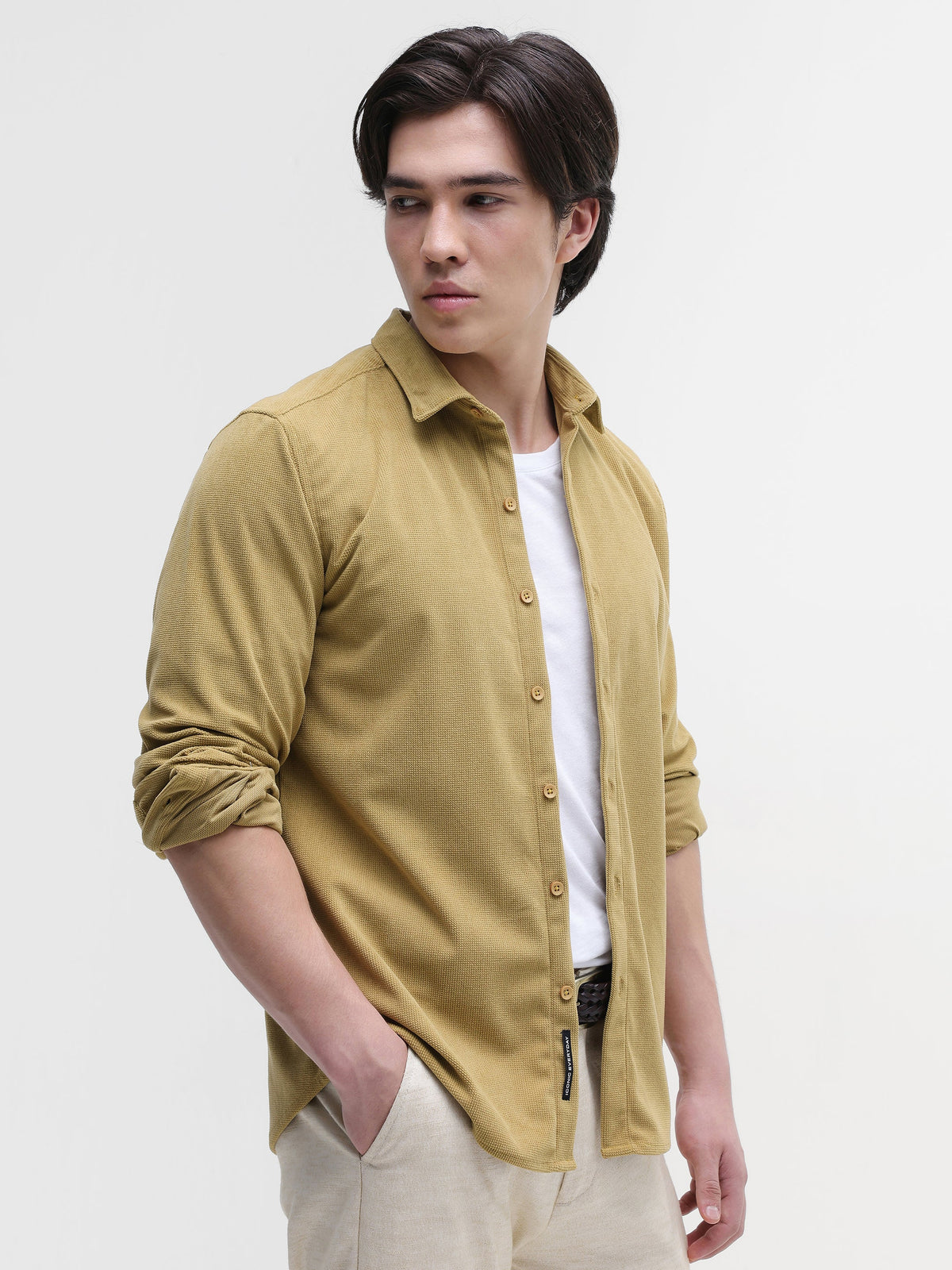 Solid Textured Regular Fit Shirt