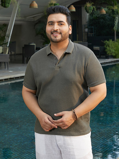 Solid Ribbed Polo T-Shirt