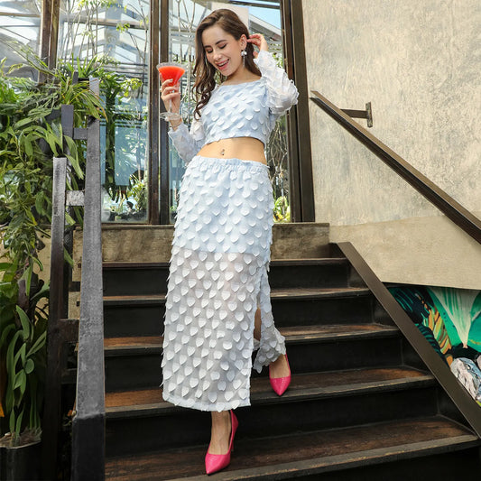 Baby Blue Sheer Applique Co-Ord Set With Slit