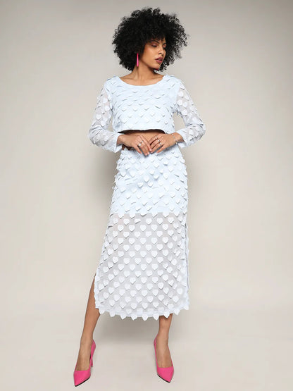 Baby Blue Sheer Applique Co-Ord Set With Slit