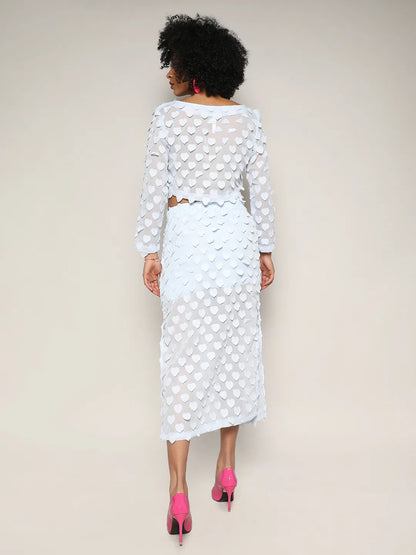 Baby Blue Sheer Applique Co-Ord Set With Slit