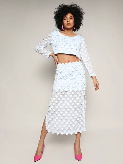 Baby Blue Sheer Applique Co-Ord Set With Slit