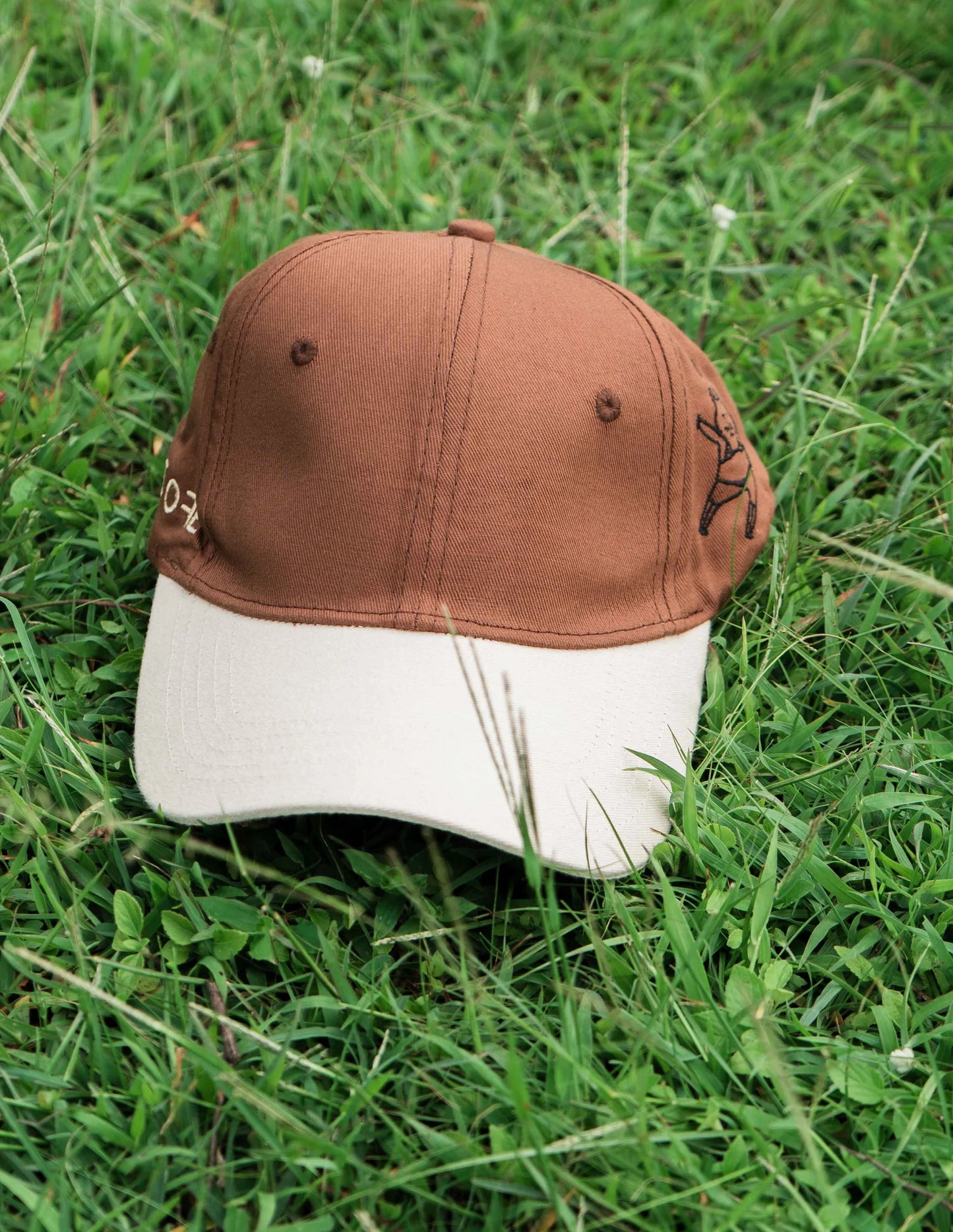 Brown & Beige Cap