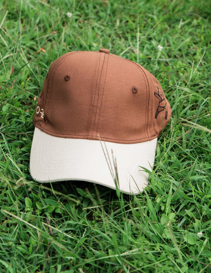 Brown & Beige Cap