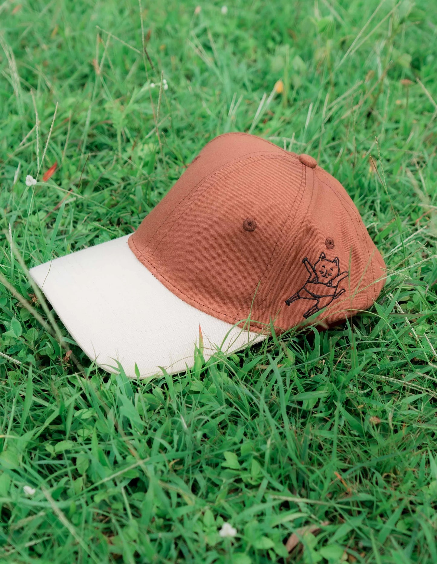 Brown & Beige Cap