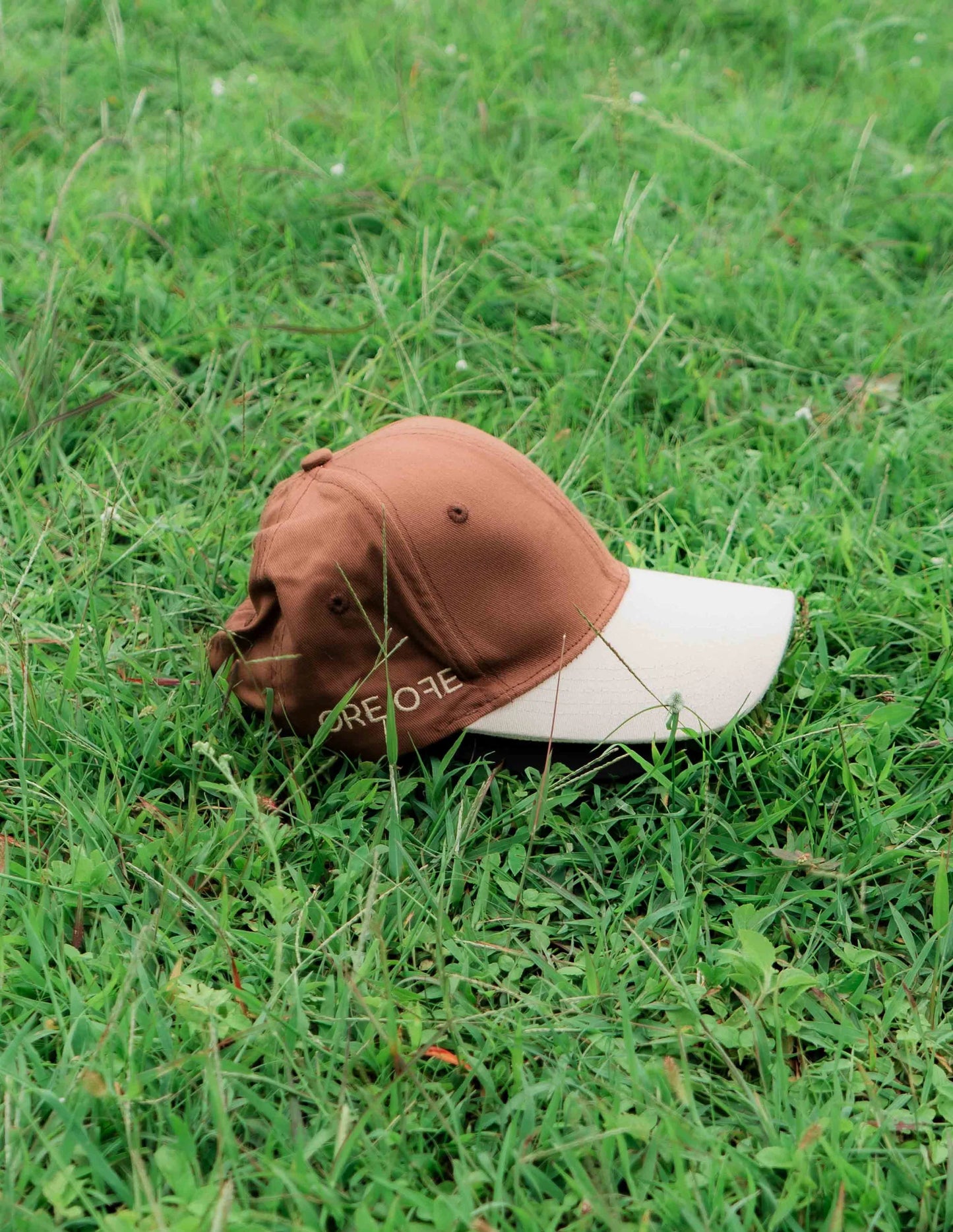 Brown & Beige Cap