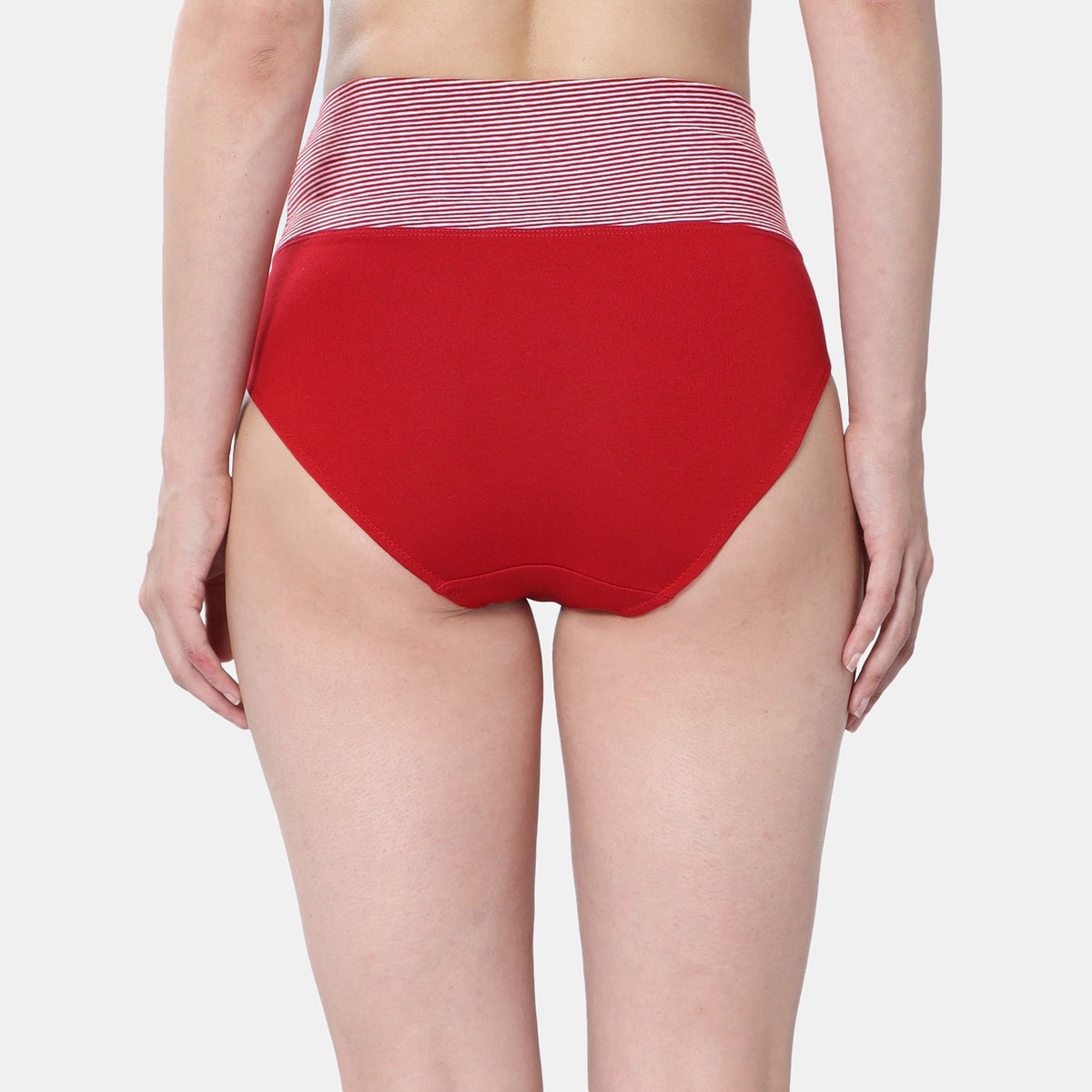 Envie High Rise Full Coverage Tummy Tucker Panty