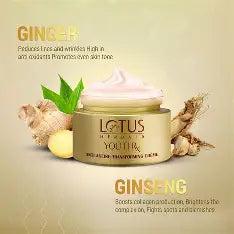 Lotus Herbals YouthRx Anti Ageing Transforming Creme 10 g