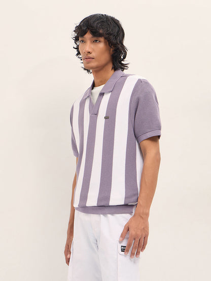 Purple and White Bold Vertical Stripe Knit Regular Fit Polo