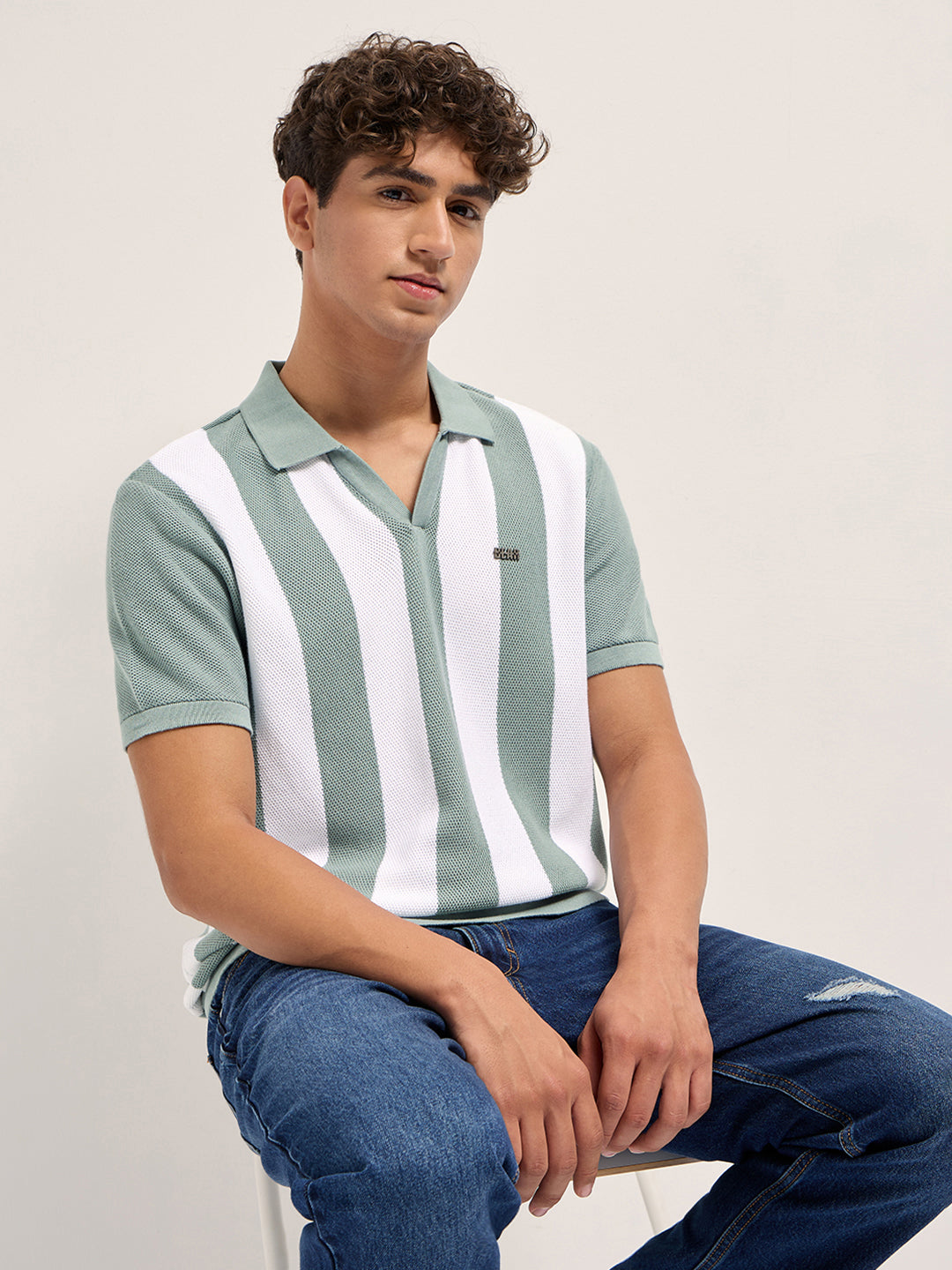Green and White Bold Vertical Stripe Knit Regular Fit Polo