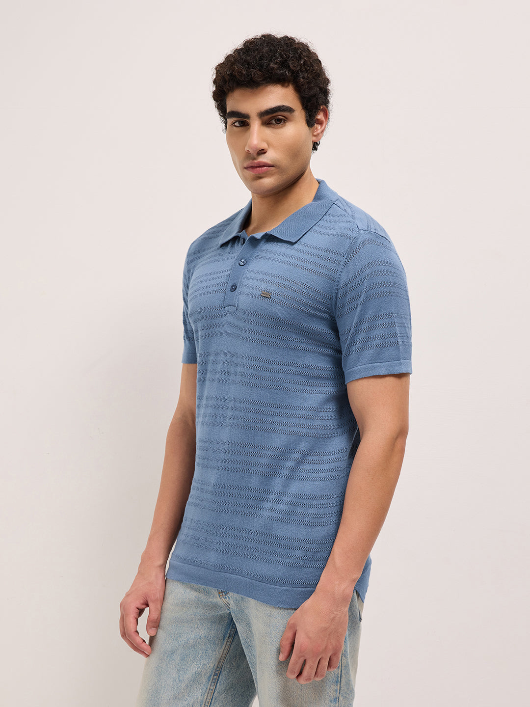 Blue Regular Fit Horizontal Textured Knit Polo with Transparent Effect
