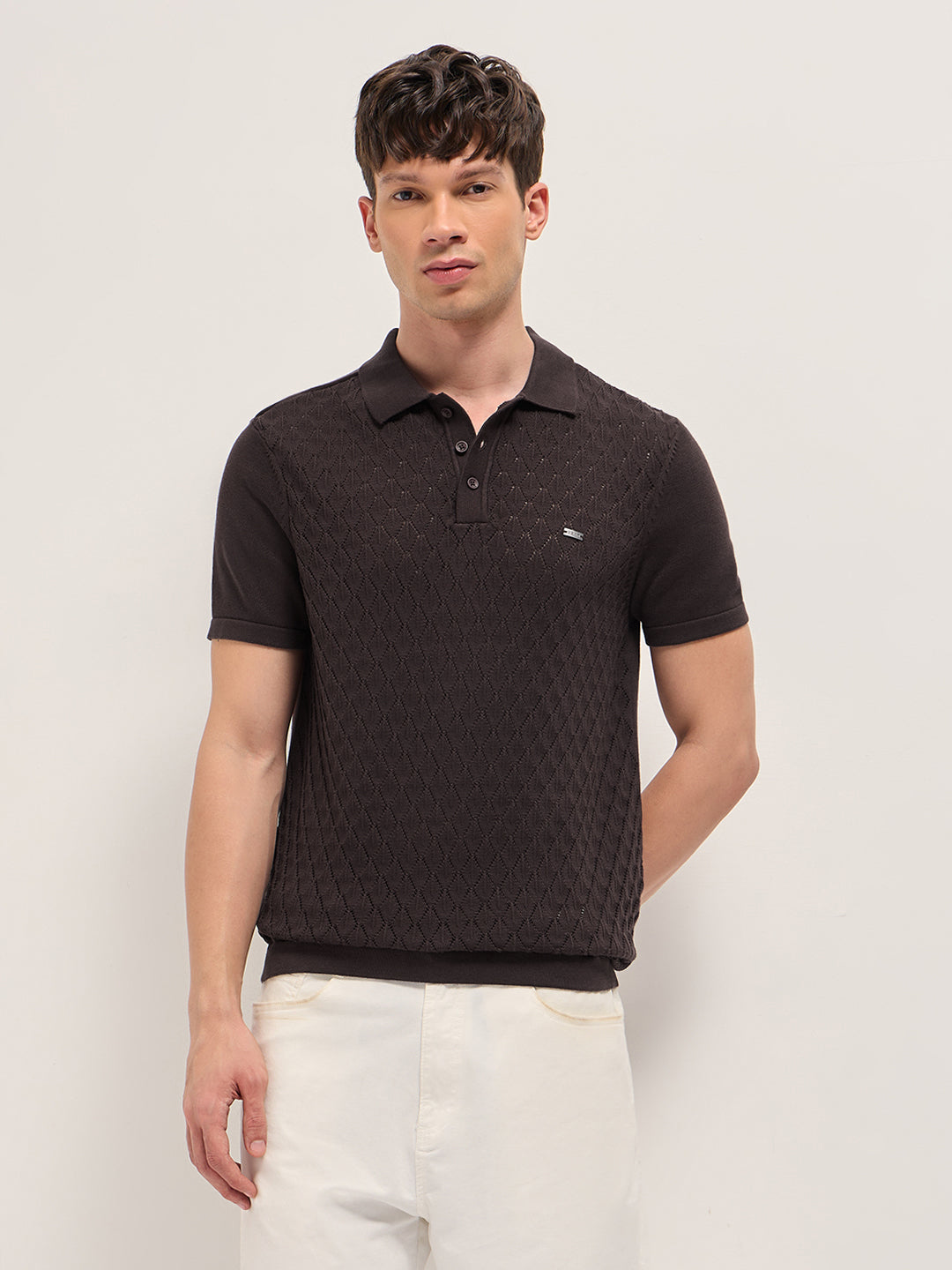 Brown Slim Fit Diamond Textured Flat Knit Polo with Transparent Effect