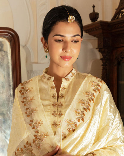 Cream Begum Velvet Suit Set