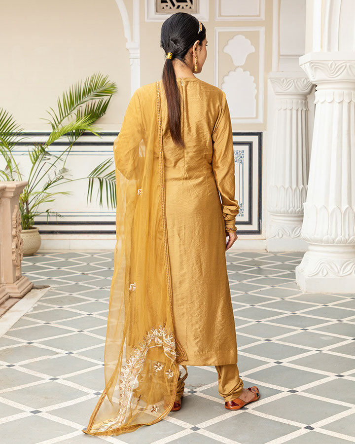 Maharani Golden Chanderi Suit