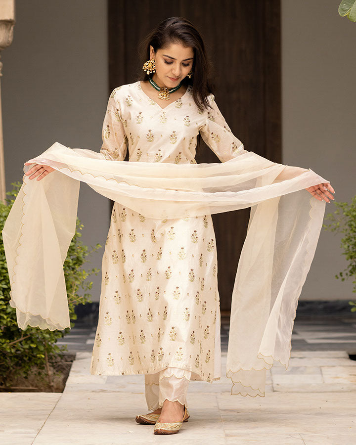Beige Bagh Chanderi Suit