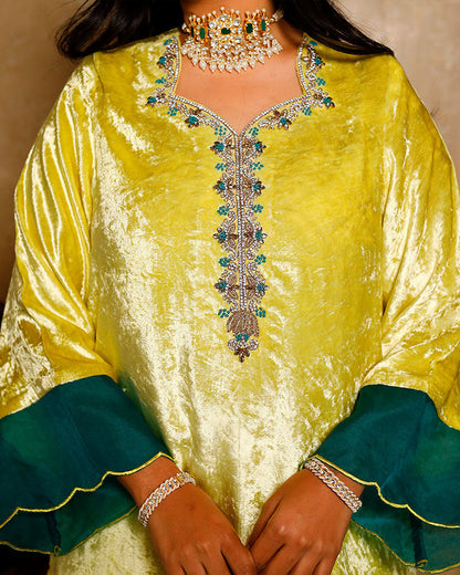 Nihari  Velvet Suit Set