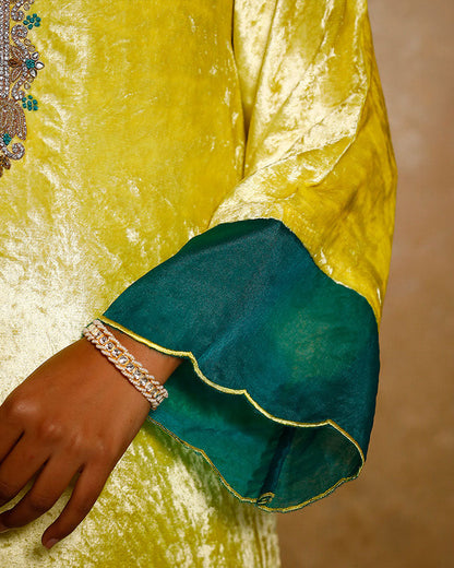 Nihari  Velvet Suit Set