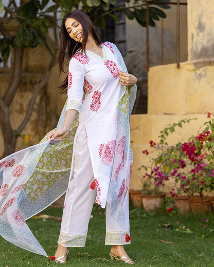 Gayatri Printed Suit Set