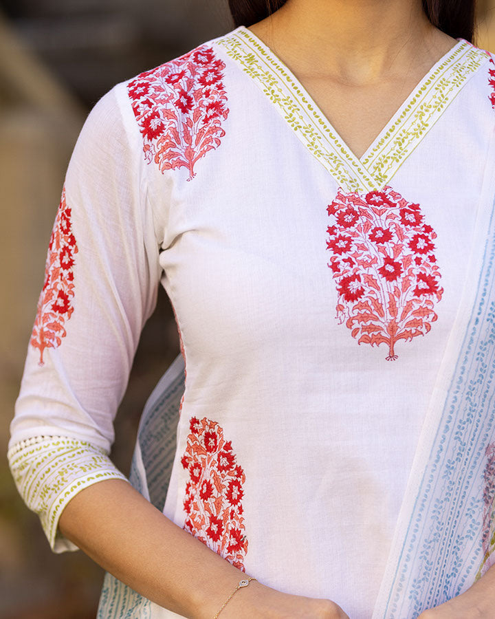 Gayatri Printed Suit Set