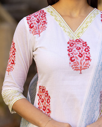 Gayatri Printed Suit Set