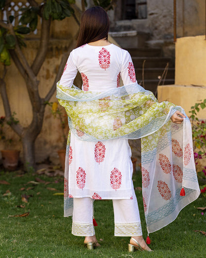 Gayatri Printed Suit Set