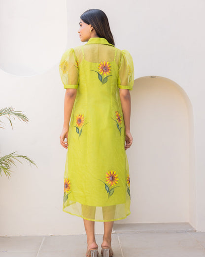 Lime Organza Shirt Dress
