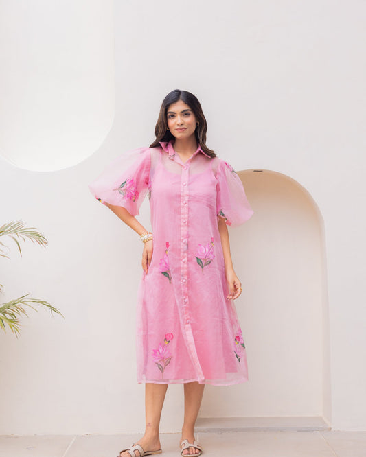 Baby Pink Organza Dress