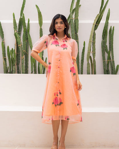 Peach Organza Shirt Dress