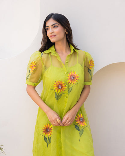 Lime Organza Shirt Dress