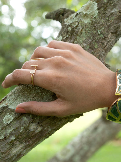 Pack of 6 Sleek RIngs