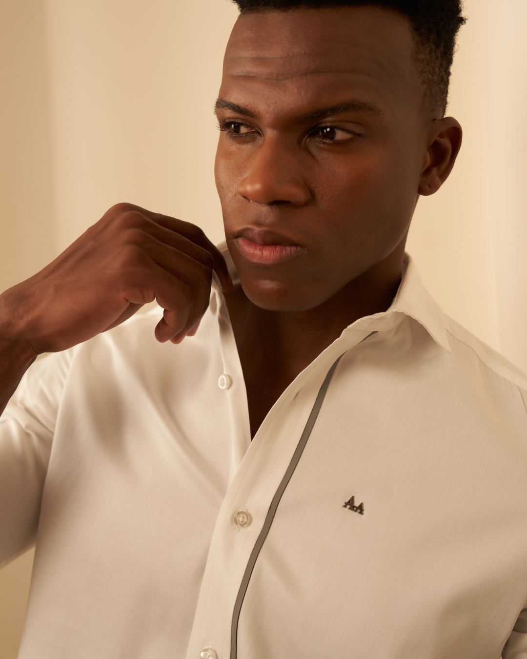 Grey Strip Classic Shirt Aachari