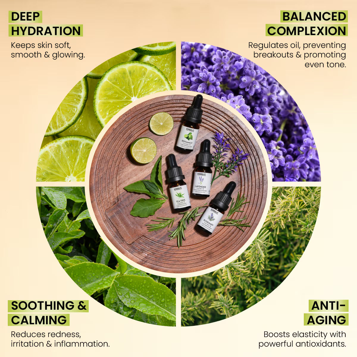 INSIGHT FRENCH LAVENDER OIL