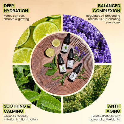 INSIGHT FRENCH LAVENDER OIL
