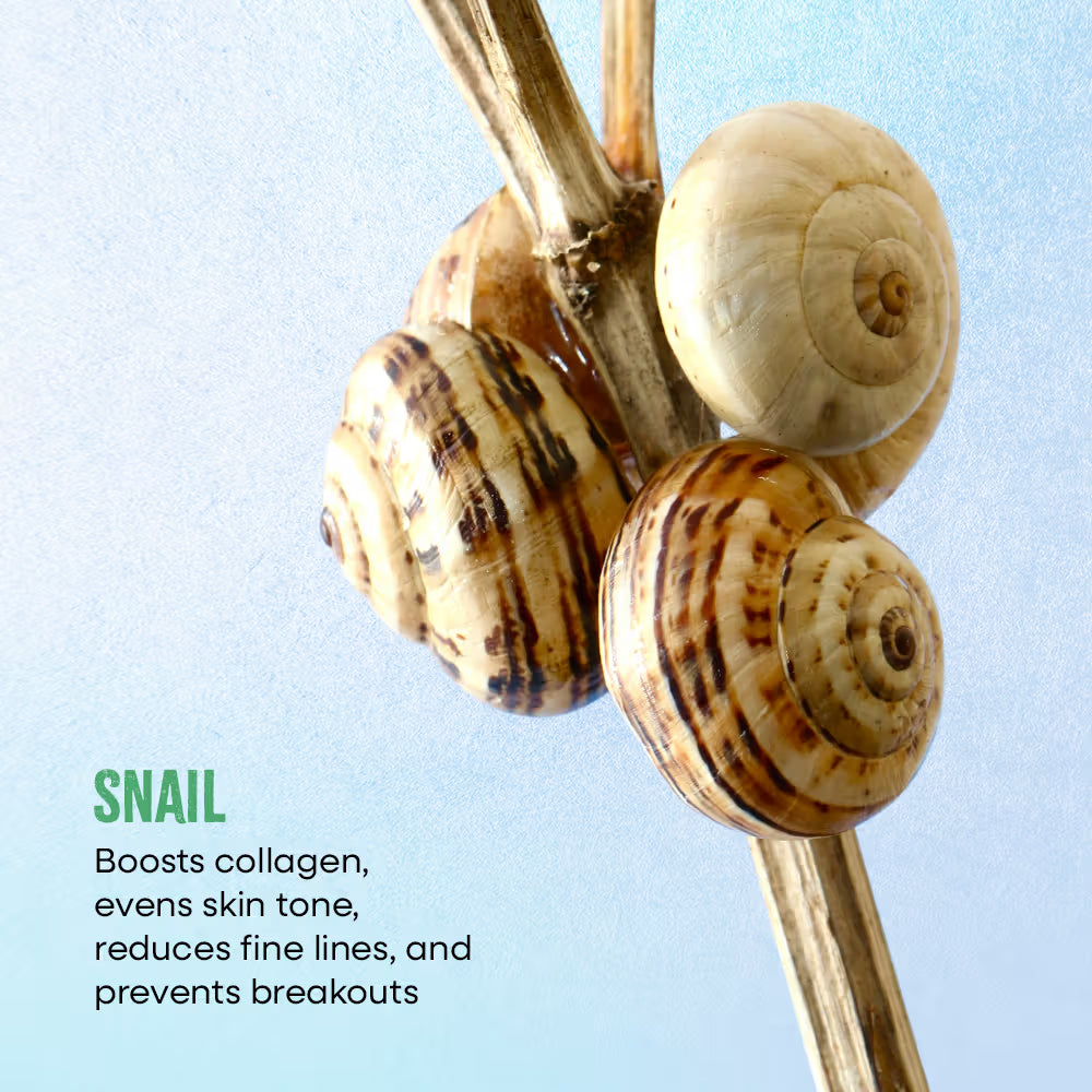 NYKAA NATURALS SNAIL SKIN SHEET MASK 20 GRAM