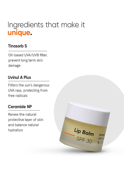 Minimalist Spf 30 Ceramides & Hyaluronic Acid Lip Balm 8 GRAM
