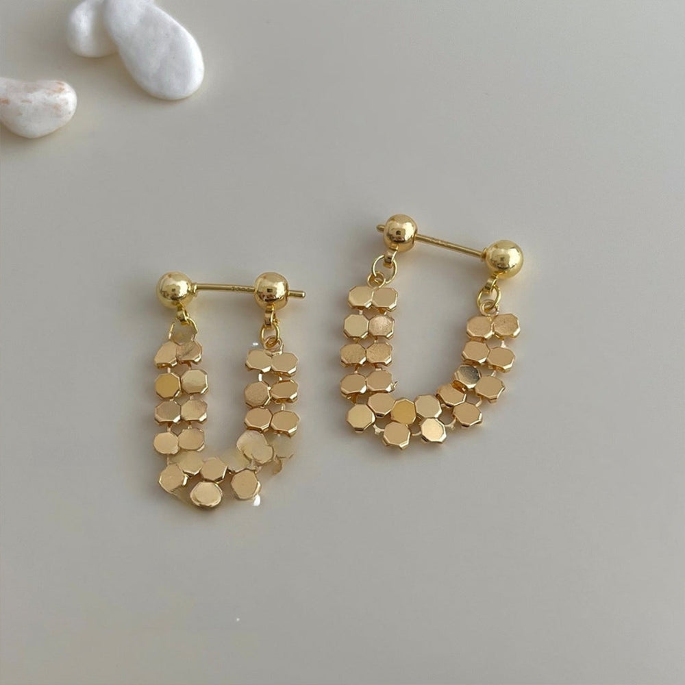 Elegant Hexagonal U Link Hoop Earrings jlt11793 Just Lil Things