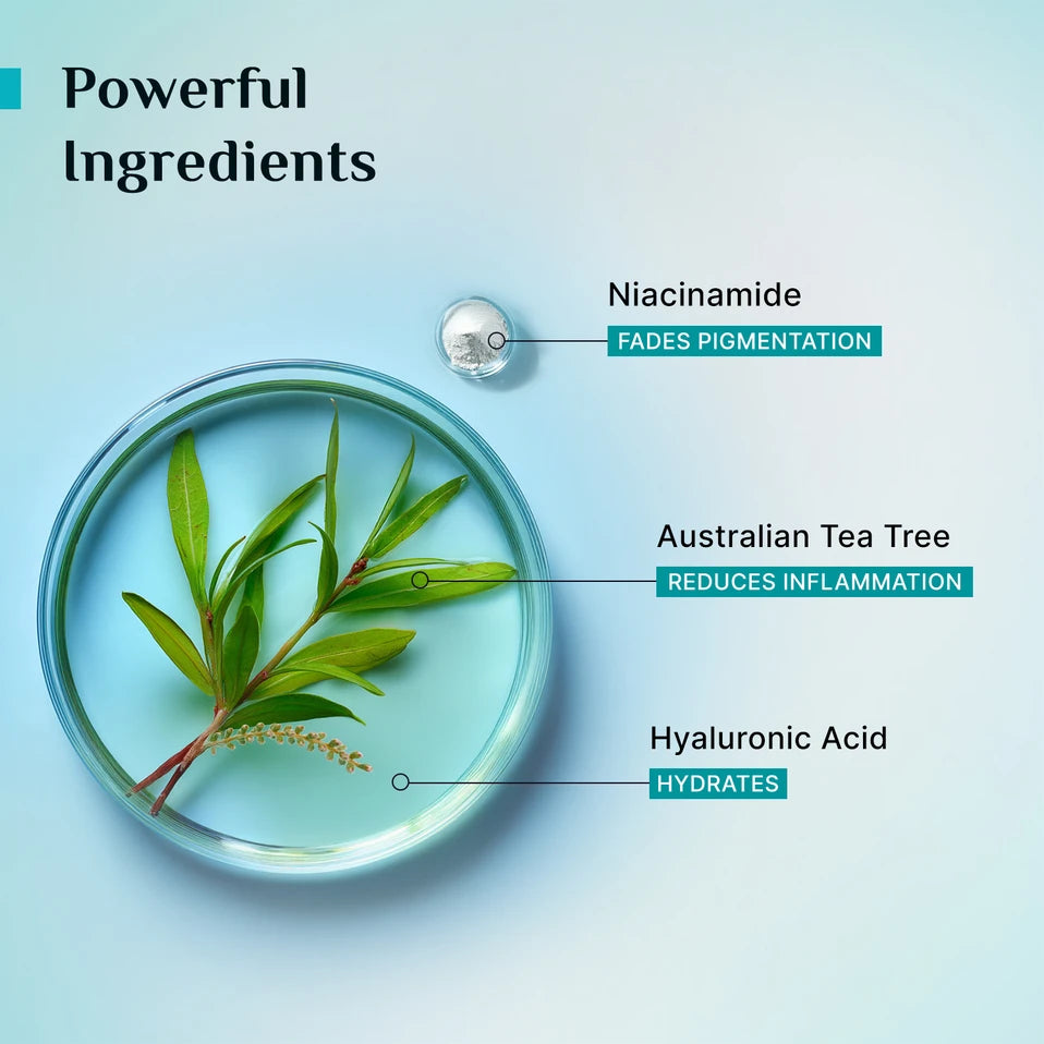 Pilgrim Tea Tree Purifying Alcohol-Free Face Toner To Cleanse, Refine & Tighten Pores Men Women 100 MILLI_LITRE