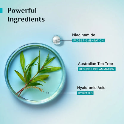 Pilgrim Tea Tree Purifying Alcohol-Free Face Toner To Cleanse, Refine & Tighten Pores Men Women 100 MILLI_LITRE