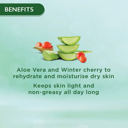 Himalaya Nourishing Skin Cream 100 ml